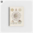 2-69_Ernst-Haeckel_memo