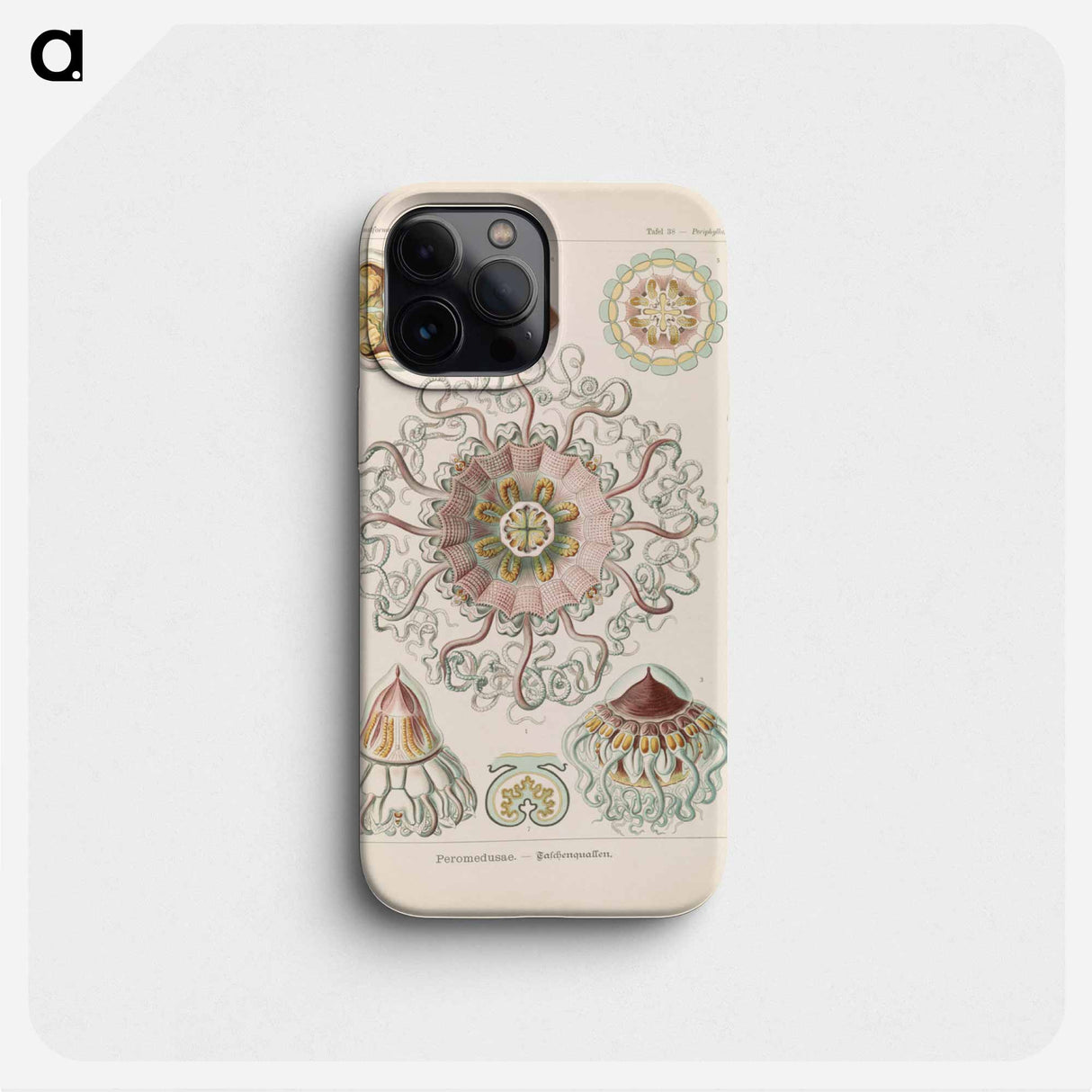 Marine life illustration - エルンスト ヘッケル Phone Case.