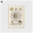 2-69_Ernst-Haeckel_postcard
