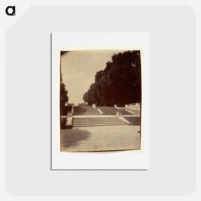 アートポストカード-Parc de Saint-Cloud
 - ウジェーヌ アジェ Postcard.