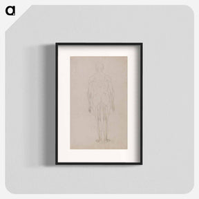 アートポスター-Human Figure, Posterior View
 - ジョージ スタッブス Poster.