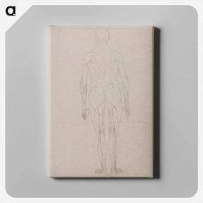 アートパネル-Human Figure, Posterior View
 - ジョージ スタッブス Canvas.