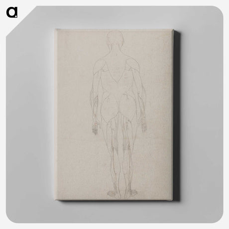2-69_George-Stubbs_canvas