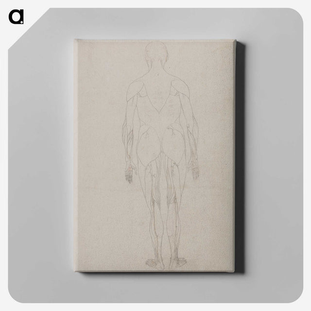 2-69_George-Stubbs_canvas