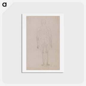 アートポストカード-Human Figure, Posterior View
 - ジョージ スタッブス Postcard.