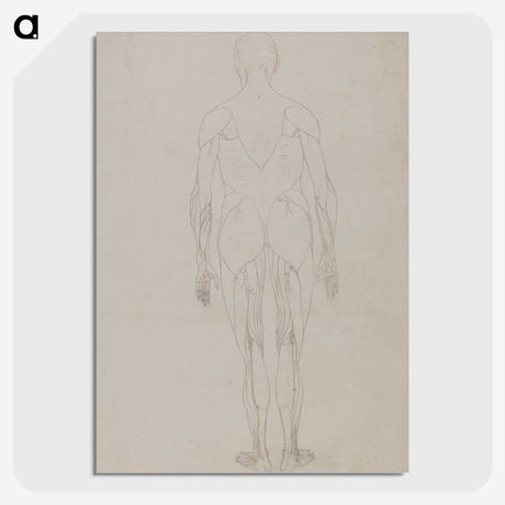 2-69_George-Stubbs_picture-crop