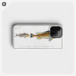 2-69_Ichtyologie-ou-Histoire-naturelle_phone