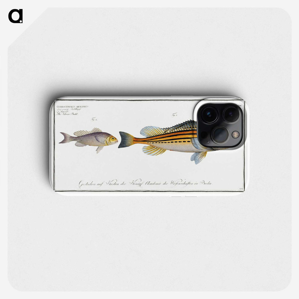 2-69_Ichtyologie-ou-Histoire-naturelle_phone