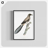 2-69_Indian-Zoology_blk-crop