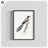 2-69_Indian-Zoology_blk