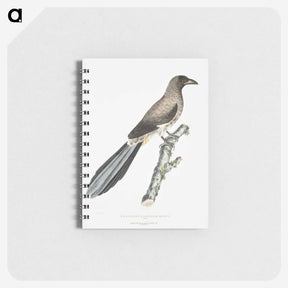 2-69_Indian-Zoology_memo