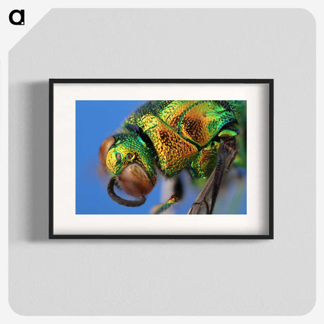 2-69_Insects-Unlocked-Project_blk