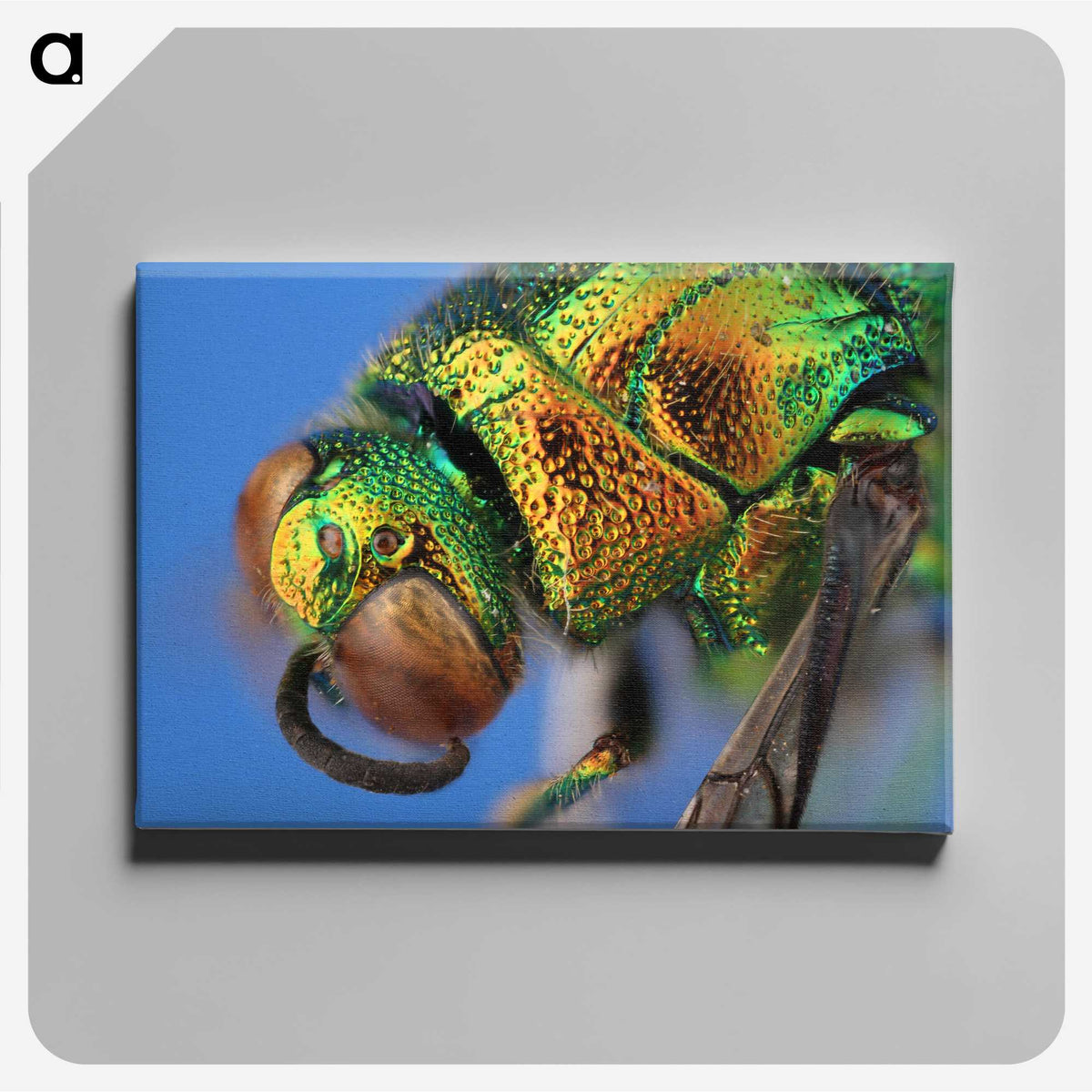2-69_Insects-Unlocked-Project_canvas
