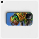 2-69_Insects-Unlocked-Project_phone