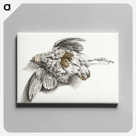 アートパネル-Dead bird - ジャン ベルナール Canvas.