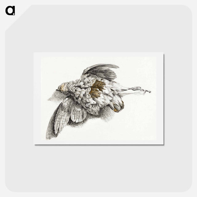 アートポストカード-Dead bird - ジャン ベルナール Postcard.