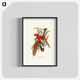 2-69_John-Gould_blk