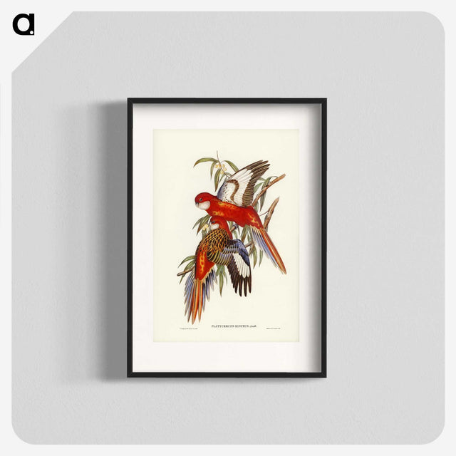 2-69_John-Gould_blk
