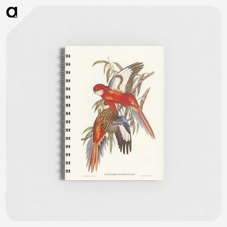 2-69_John-Gould_memo