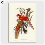 2-69_John-Gould_picture-crop