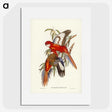 2-69_John-Gould_picture