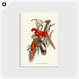 2-69_John-Gould_postcard