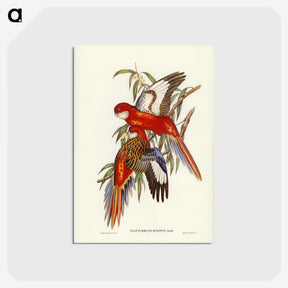 2-69_John-Gould_postcard