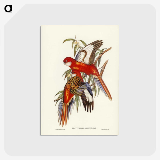 2-69_John-Gould_postcard