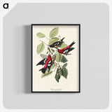 2-69_John-James-Audubon_blk-crop