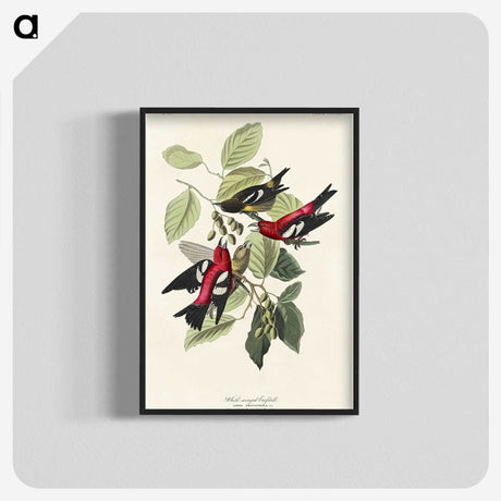 2-69_John-James-Audubon_blk-crop