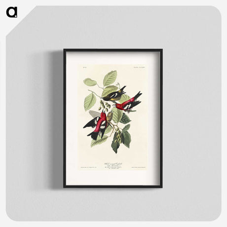 2-69_John-James-Audubon_blk