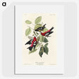 2-69_John-James-Audubon_picture