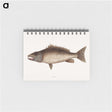 2-69_Mark-Catesby_memo