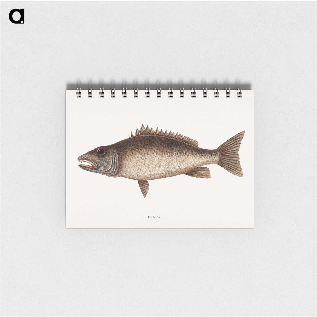 2-69_Mark-Catesby_memo