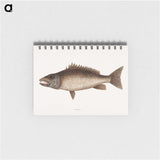 2-69_Mark-Catesby_memo