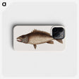 2-69_Mark-Catesby_phone