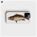 2-69_Mark-Catesby_phone