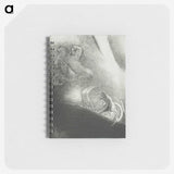2-69_Odilon-Redon_memo