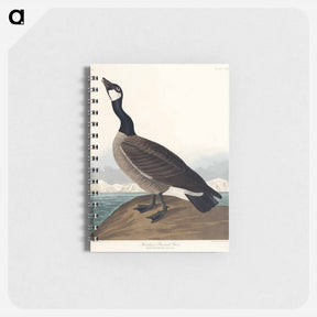 アートメモ帳-Hutchins's Barnacle Goose from Birds of America
 - アメリカの鳥たち Memo.