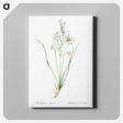2-69_The-Lilies_canvas