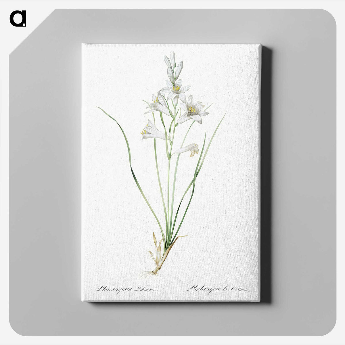 2-69_The-Lilies_canvas