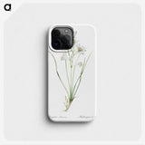 2-69_The-Lilies_phone