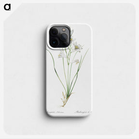 2-69_The-Lilies_phone