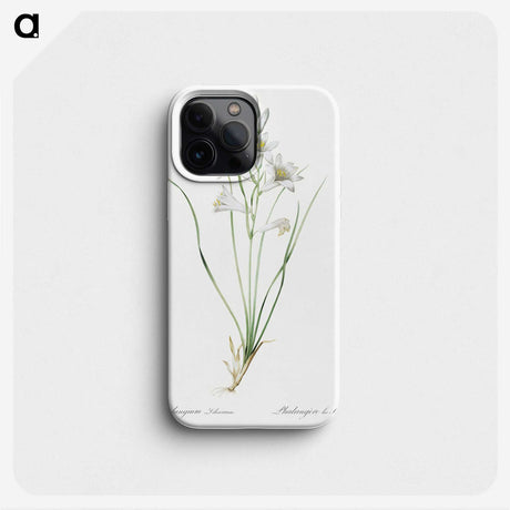 2-69_The-Lilies_phone