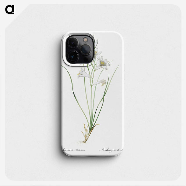 2-69_The-Lilies_phone