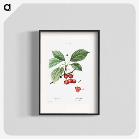 2-69_Treatise-on-Trees-and-Shrubs_blk