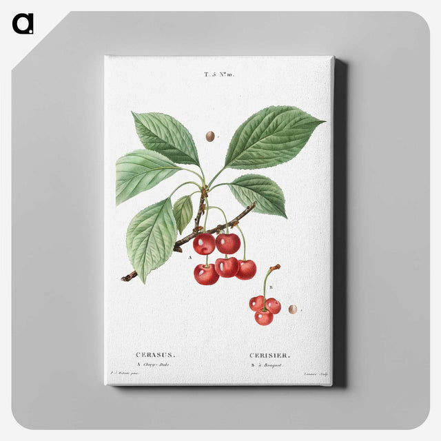 2-69_Treatise-on-Trees-and-Shrubs_canvas