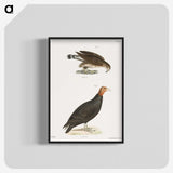 2-69_Zoology-of-New-York_blk-crop