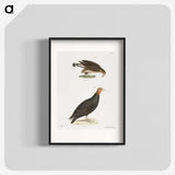 2-69_Zoology-of-New-York_blk