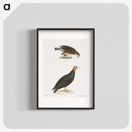2-69_Zoology-of-New-York_blk